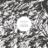 Shauf Andy - Bearer Of Bad News Shauf Andy - Bearer Of Bad News