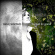 Pedersen Nina Jori - So Far So Good Pedersen Nina Jori - So Far So Good