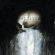 Saltillo - Monocyte (Lp+7 Saltillo - Monocyte (Lp+7