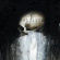 Saltillo - Monocyte (Lp + 7 Saltillo - Monocyte (Lp + 7