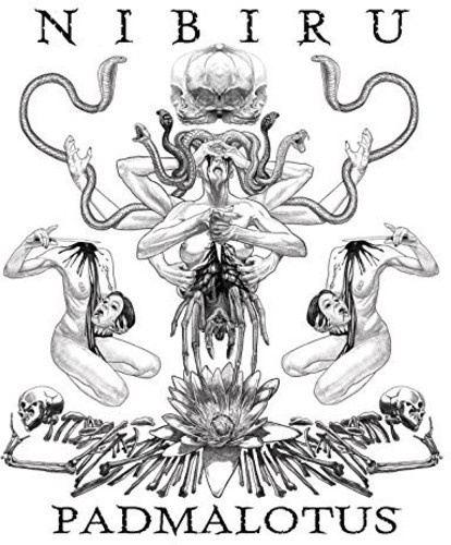 Nibiru - Padmalotus