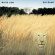 White Lion - Big Game White Lion - Big Game