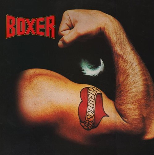 Boxer - Absolutely