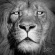 Ziro - Lionheart Ep Ziro - Lionheart Ep