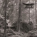 Korp - Hel Kallar Korp - Hel Kallar