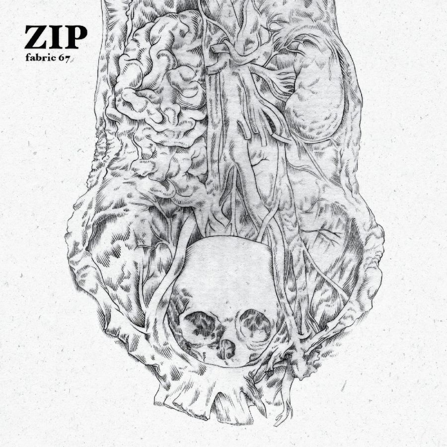 Zip - Fabric 67 :