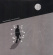 Mind Spiders - Inhumanistic Mind Spiders - Inhumanistic