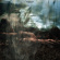 Banquet - Jupiter Rose - Ltd.Ed. Banquet - Jupiter Rose - Ltd.Ed.