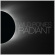 Wild Ponies - Radiant Wild Ponies - Radiant