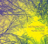 Metalwood - Twenty Metalwood - Twenty