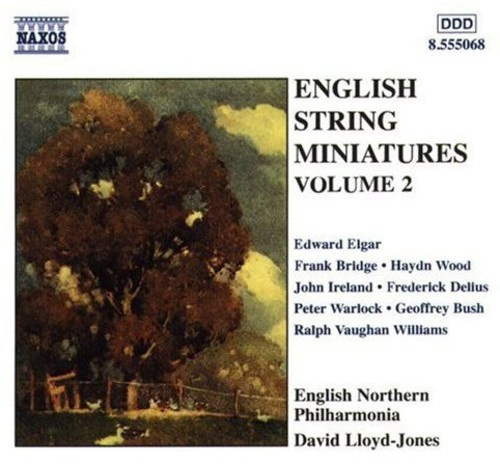 Various - Eng String Miniatures 2