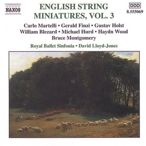 Various - Eng String Miniatures 3
