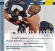 Debussy Schmitt Strawinsky - V 3: Les Ballets Russes Debussy Schmitt Strawinsky - V 3: Les Ballets Russes