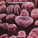Controlled Bleeding - Body Samples Controlled Bleeding - Body Samples