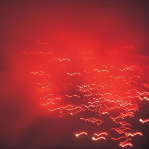 Toral Rafael - Violance Of Discovery Aan Calm