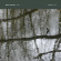 Kellough Bethan - Aven Kellough Bethan - Aven