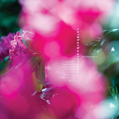 Coldharbourstores - Wilderness