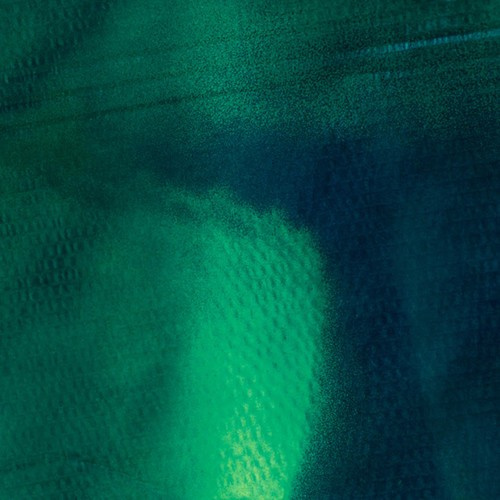 Grosse Katharina & Stefan Schneider - Tiergarten