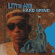 Little Axe - Hard Grind Little Axe - Hard Grind