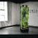 Twin Atlantic - Vivarium Twin Atlantic - Vivarium