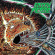 Green Meteor - Consumed By A Dying Sun Green Meteor - Consumed By A Dying Sun