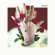 Machine Gun Kelly - Bloom (Vinyl) Machine Gun Kelly - Bloom (Vinyl)