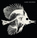 Hulaboy / Safe Distance - Split Lp Hulaboy / Safe Distance - Split Lp