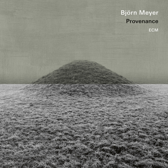Björn Meyer - Provenance