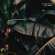 Will Samson - Welcome Oxygen Will Samson - Welcome Oxygen