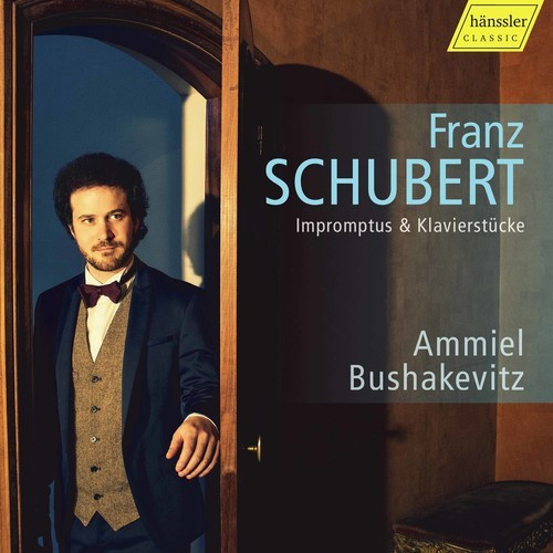 Franz Schubert - Impromptus & Klavierstücke