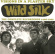 Wild Silk - Visions In A Plaster Sky: Complete Wild Silk - Visions In A Plaster Sky: Complete