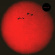 S U R V I V E - Hd015 (Red Vinyl) S U R V I V E - Hd015 (Red Vinyl)
