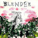 Slender - Walled Garden Slender - Walled Garden