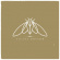 Cicada Rhythm - Cicada Rhythm Cicada Rhythm - Cicada Rhythm