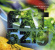 Various Artists - Freude Am Tanzen 5Zig Compilation Various Artists - Freude Am Tanzen 5Zig Compilation