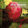 Aadnekvam Steinar - Freedom Trio Ii Aadnekvam Steinar - Freedom Trio Ii