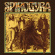 Spirogyra - St Radigunds Spirogyra - St Radigunds