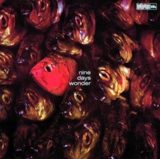 Nine Days Wonder - Nine Days Wonder