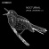 Various - Nocturnal – Lute Music From Dowland Various - Nocturnal – Lute Music From Dowland