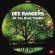 Dee Rangers - All You Need Tonight Dee Rangers - All You Need Tonight