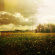 Epic45 - Through Broken Summer Epic45 - Through Broken Summer