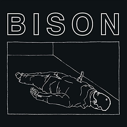 Bison - One Thousand Needles