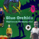 Blue Orchids - Righteous Harmony Fist Blue Orchids - Righteous Harmony Fist