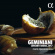 Geminiani Francesco - Concerti Grossi Op. 7 Geminiani Francesco - Concerti Grossi Op. 7