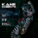 Kane Roberts - The New Normal Kane Roberts - The New Normal