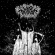 Void Terror - Soul Harvest Void Terror - Soul Harvest