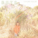 Bets - Future Colors Bets - Future Colors