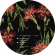 Taiko & Chaz White - Cold Empty Bed Taiko & Chaz White - Cold Empty Bed