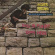 Brown James -Band- - Sho Is Funky Down.. -Rsd- Brown James -Band- - Sho Is Funky Down.. -Rsd-