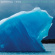 Imperial Teen - Now We Are Timeless (Ltd Clear & Tr Imperial Teen - Now We Are Timeless (Ltd Clear & Tr